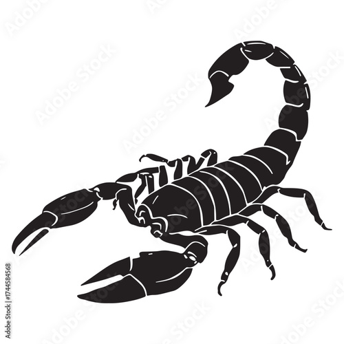 Detailed black silhouette of a scorpion with its tail curled upwards against a white background