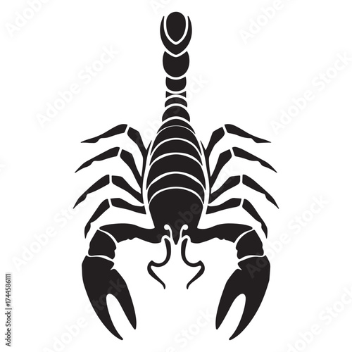Stylized black silhouette of a scorpion facing forward