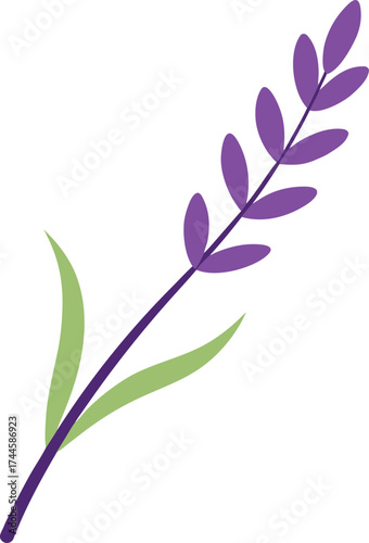 Minimalist Flat Design Lavender Sprig Vector Illustration