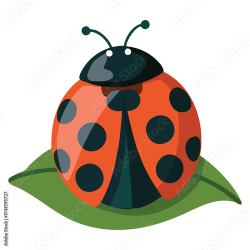 Ladybug icon cute vector illustration for print on childrens clothing, insect and fauna biology elements, badge sticker or notebook creative design