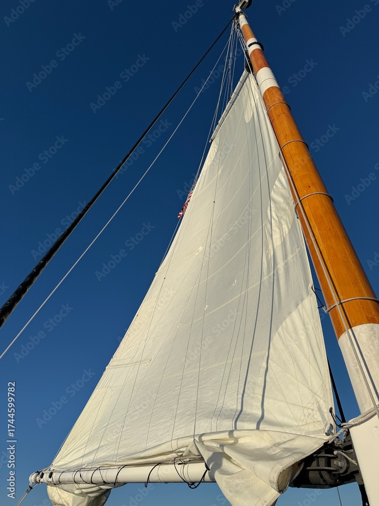 Fototapeta premium Elegant white sail catching the wind during ocean voyage