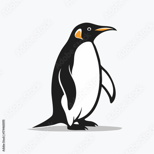 penguin vector icon design