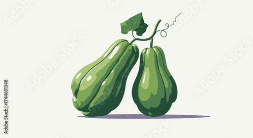 A vibrant vector illustration showcases two fresh chayote squash, their smooth, green skins and delicate tendrils rendered in a clean, modern style, perfect for culinary or health-related designs.