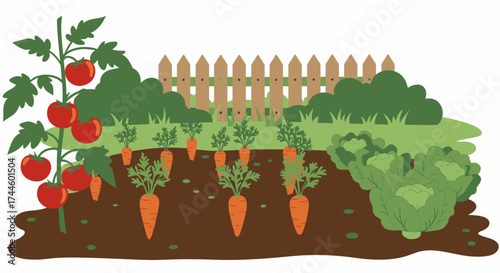 A vibrant vector illustration showcases a flourishing vegetable garden, featuring ripe tomatoes, carrots, and lettuce, all set against a wooden fence and lush greenery, ideal for agricultural or