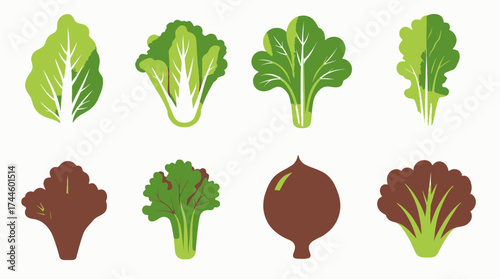 A vibrant collection of fresh, healthy green leafy vegetables and root crops, illustrated in a modern flat vector style on a clean white background.