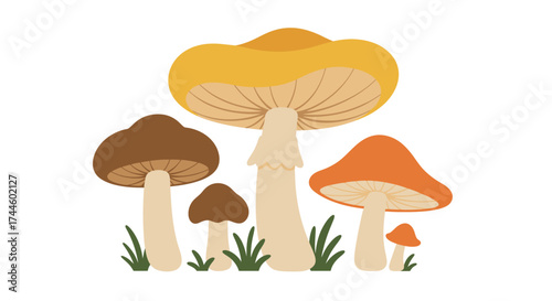 A vibrant vector illustration showcases a cluster of assorted mushrooms in varying sizes and colors, set against a clean, transparent background, perfect for graphic design.