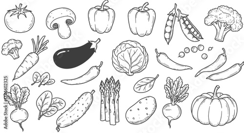 A vector illustration presents a variety of fresh vegetables, including tomatoes, mushrooms, peppers, and leafy greens, rendered in a clean, minimalist style suitable for diverse applications.