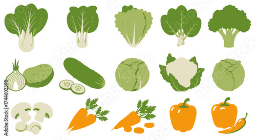 A vibrant vector illustration showcasing a diverse assortment of fresh vegetables, perfect for culinary designs and healthy eating promotions, on a clean white background.