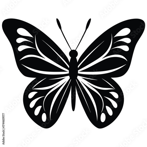 butterfly  symbol of transformation  vector icon
