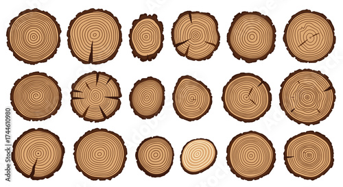 A collection of various wooden log cross sections showing different grain patterns and textures