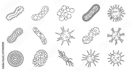 A collection of diverse microscopic organisms and cellular structures depicted in a scientific illustration.