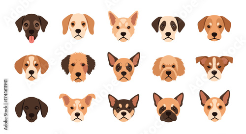 A collection of diverse dog portraits showcasing various breeds and facial expressions in a friendly and approachable manner.