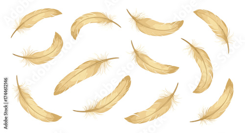 Collection of falling light brown bird feathers with a dusty texture.