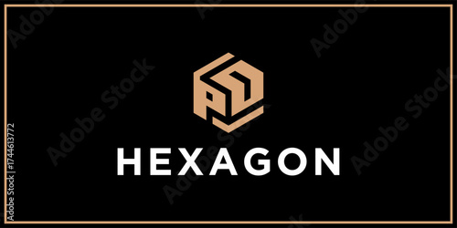 PD hexagon logo design inspiration	