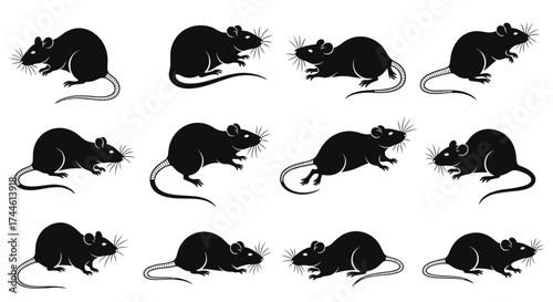 A collection of twelve black silhouette drawings of mice in various dynamic poses and actions.