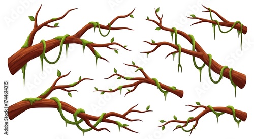 Cartoon jungle branches with vines and leaves on white background.