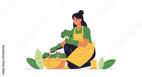 Farmer Gathering Broccoli Harvest In Her Garden For Healthy Lifestyle Practices
