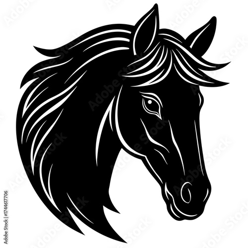 Horse Beauty & Care: Equestrian Life, Training, Grooming, and Riding Tips