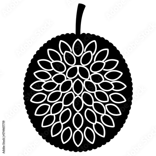 pear fruit vector illustration