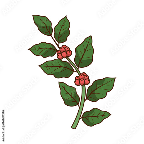 Illustration of Coffee Branch with Green Leaves and Red Berries on Transparent Background