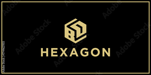 BD hexagon logo design inspiration	