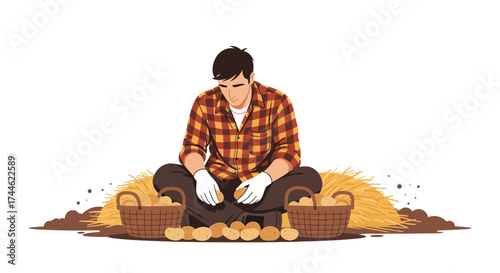 Farmer Sorting Potatoes, Themed Illustration, Agricultural Work Focused Concept Image