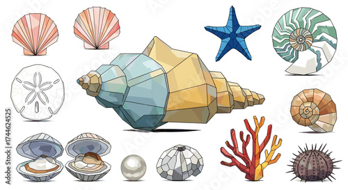 Illustration showcasing an assortment of seashells starfish coral and other marine life forms displayed