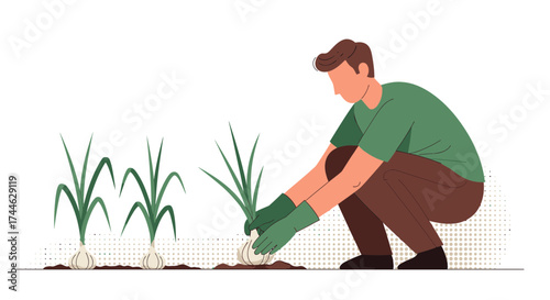 Gardener Working, Planting Onions, Agriculture, Cultivation, Conceptual Vector Illustration