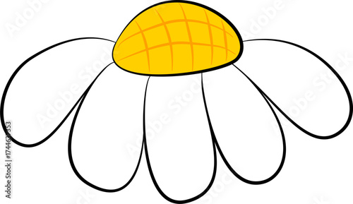 White daisy flower vector illustration