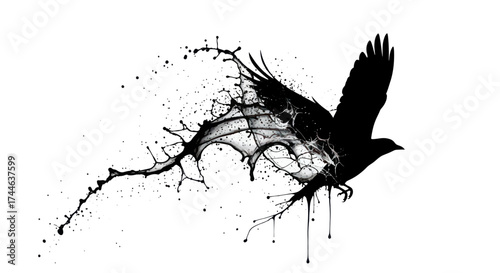 Adobe Illustrator Artwork