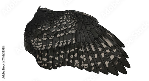 Adobe Illustrator Artwork