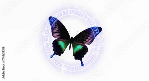 Adobe Illustrator Artwork