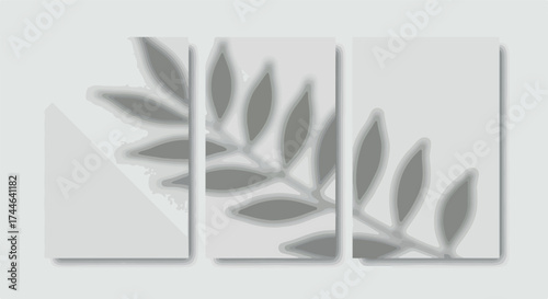 Shadow of leaves on three white rectangular canvases creates a minimalist aesthetic.