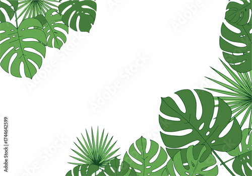 Tropical green leaves frame white space for design and text.