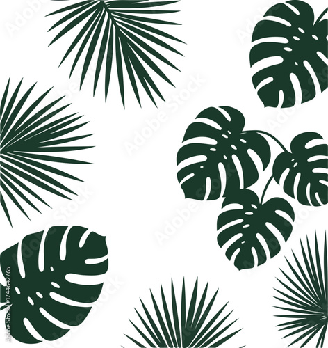 Tropical leaves pattern on white background nature design for print.