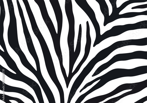 Zebra pattern close up black and white stripes animal print.
