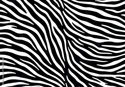 Zebra pattern black and white stripes abstract design background.