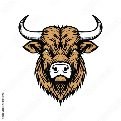 Bull head illustartion