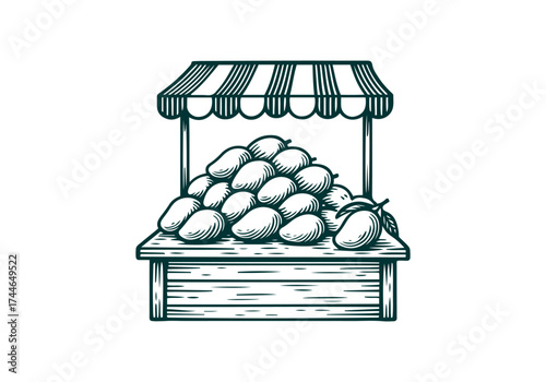 Mango hand drawn simple engraved vector illustration