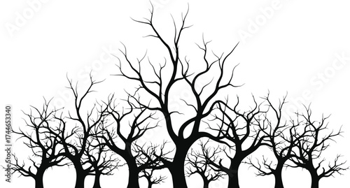 Eerie bare winter trees with twisted branches in silhouette