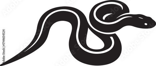 black and white snake