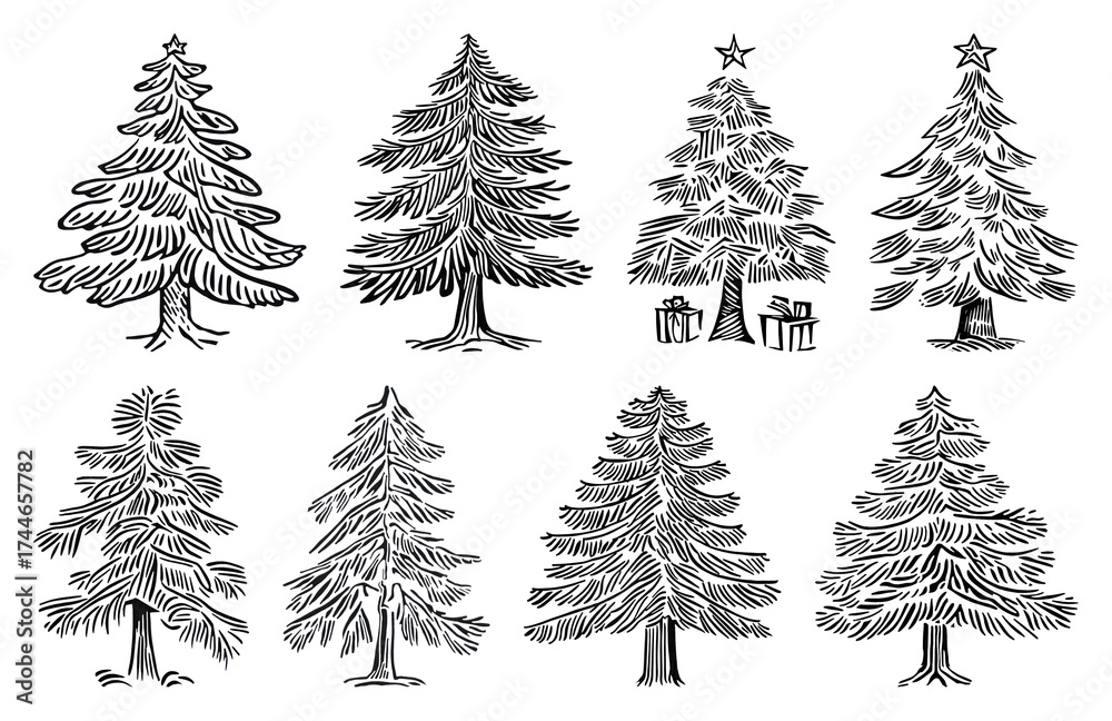 Obraz premium PNG Hand-drawn evergreen tree illustrations, element set on transparent background
