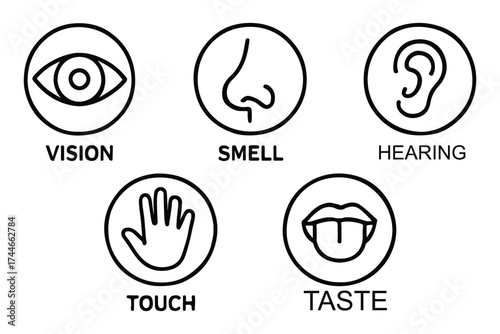 Human senses icon set. Vision eye, smell nose, hearing ear, touch hand, taste mouth with tongue. Simple line icons in circle. Five senses of human nervous system. set of five senses icon