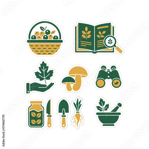 This comprehensive collection of flat icons illustrates nature exploration, gardening, foraging, and botanical study, ideal for various outdoor-themed projects.