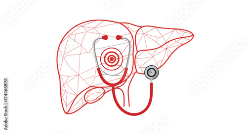 Understanding the importance of the liver in maintaining overall health and well-being.
