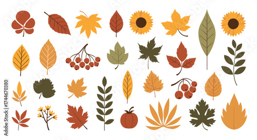 A collection of colorful autumn leaves and sunflowers creating a vibrant seasonal display.
