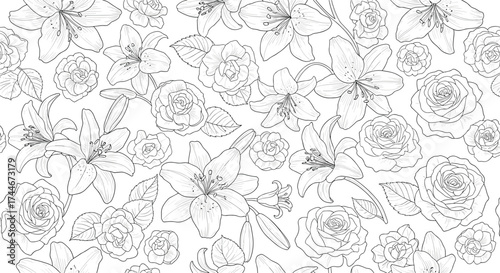 A collection of intricate line drawings of various botanical elements and abstract shapes creating a textured visual pattern.