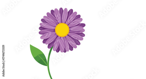 A delicate purple aster flower with a vibrant yellow center and a single green leaf emerges from a slender stem.