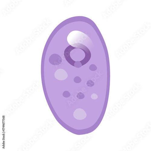 Toxoplasmosis Vector Illustration. Vector illustration depicting human immune cells, including macrophages and mast cells, showcasing the biology of the immune system and monocyte types in immunology