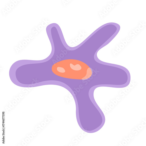 Fibroblast Vector Illustration. Vector illustration depicting human immune cells, including macrophages and mast cells, showcasing the biology of the immune system and monocyte types in immunology